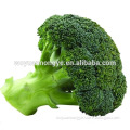 Chinese Fresh Broccoli